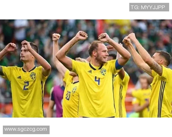 韩国与瑞典足球赛比分分析及精彩瞬间回顾