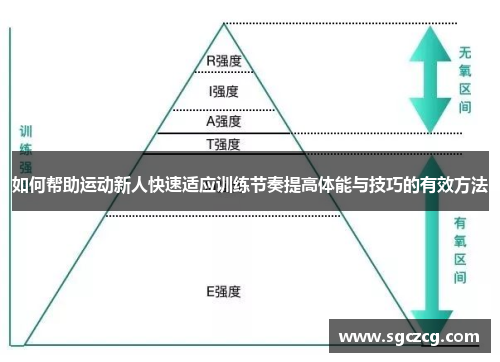 如何帮助运动新人快速适应训练节奏提高体能与技巧的有效方法