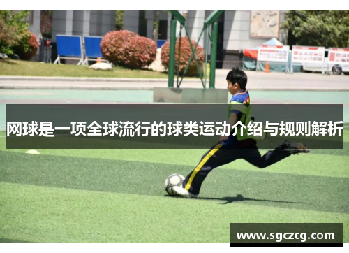 网球是一项全球流行的球类运动介绍与规则解析