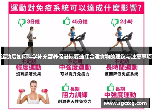 运动后如何科学补充营养促进恢复选择合适食物的建议与注意事项