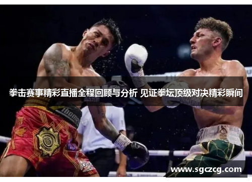 拳击赛事精彩直播全程回顾与分析 见证拳坛顶级对决精彩瞬间